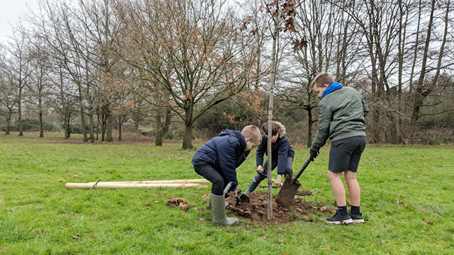 Wincanton Primary School pupils planting a tree at Wincanton's Cale Park recreationg round