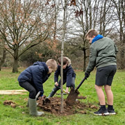 Wincanton pupils helped plant new trees at Cale Park