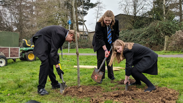 Students from King Arthur's School planting a tree at Wincanton's Cale Park recreation ground