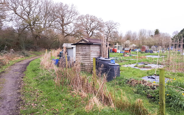 The allotments at Wincanton Sports Ground