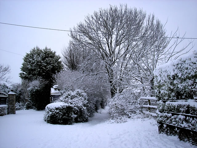 Snow Scene - by Briony Loader