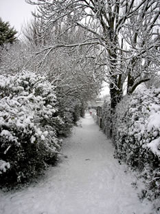 A snowy path - by Briony Loader