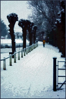 Cemetry Walk in Snow