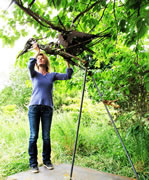 Work Nears Completion for Stourhead Sculpture Trail