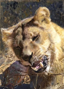 Painting of a lion