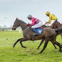 Racing returns to Wincanton in mere weeks