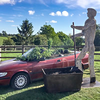 Man grows food in car